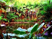 Daintree Eco Lodge Spa 5*