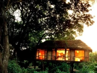 Lake Manyara Tree Lodge 5*