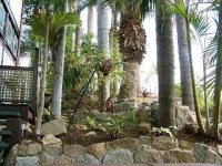 Franklin Villa 4*