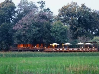 Sanctuary Chiefs Camp 4*
