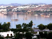 Club Hotel Flora 3*