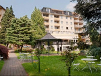 Parkhotel am Taunus