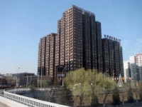 Jinqiao Apartment 4*