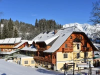 Hotel Vitaler Landauerhof 4*