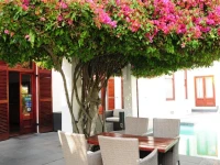 Dunkley House 4*
