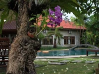 Sukun Bali Cottages / Sukun Bali Cottage 1*