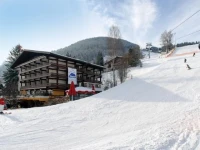 Sporthotel Alpin 4*