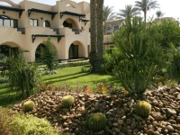 Oasis Cairo 4*
