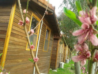 Adrasan Adrasya Bungalow