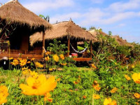 Villa De Pai