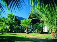 Desert Palms Resort