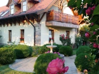 Palazzo Wellness Villa 3*