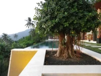 The Puncak 5*