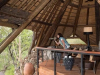 Ongava Lodge 4*