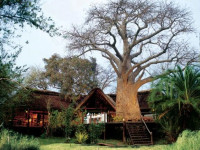 Impalila Island Lodge
