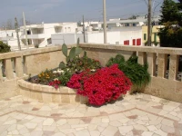 Residence Salu 2*