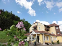 Familiengasthof Maier 4*