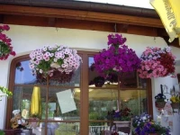 Sportpension Katharinenhof 
