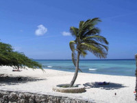 Arashi Beach