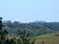 Horizontes Los Jazmines