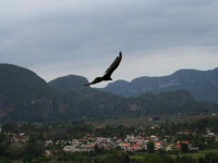 Horizontes La Ermita
