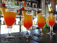 Paradise Bay 4*