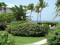 Colony Cove Beach Resort