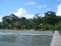 Ecologico Salvador Gaviota