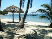 Palmetto Bay Plantation