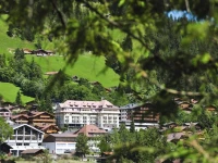 The Cambrian Adelboden 4*