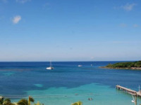 Mame Tree Bungalows