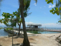 Coral View Beach Resort Utila