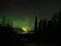 Alaska Grizzly Lodge 1*