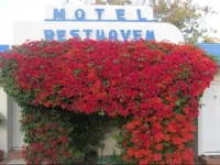 Rest Haven Motel 