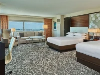 Hilton Atlanta Airport 4*