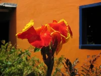 Hotel Estrella 3*