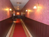Alexandriya