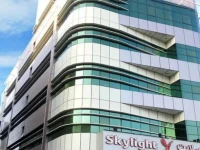Skylight 3*