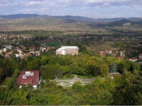 Institut Niska Banja