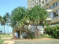 Regency Hotel San Juan