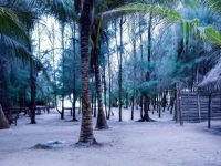 Omeesha Beach Hotel 2*