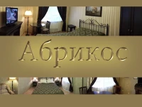 Абрикос отель Пермь 4*