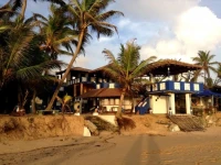 New Lions Paradise Guest House 2*