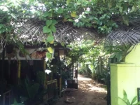 Ruwini 2*
