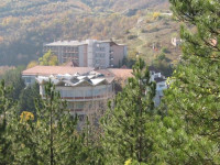 Banjica
