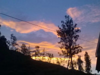 Vantage Home stay Ella