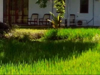 Mihini Hotel Habarana 2*