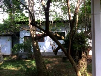Surya Inn Wadduwa 2*