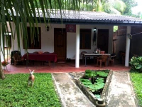 Ancient Tree Guesthouse Mirissa 2*