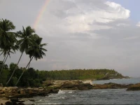 Rocky Point Beach Bungalow / Rocky Point Beach Bungalow 3* 3*